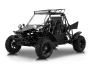 2020 BMS V-Twin Buggy 800 for sale 200786024